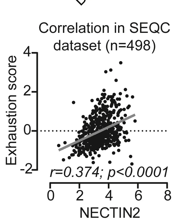Open access visualization of Scatter Plot, Regression Plot, NECTIN2, Gene Expression, Dysfunction Score