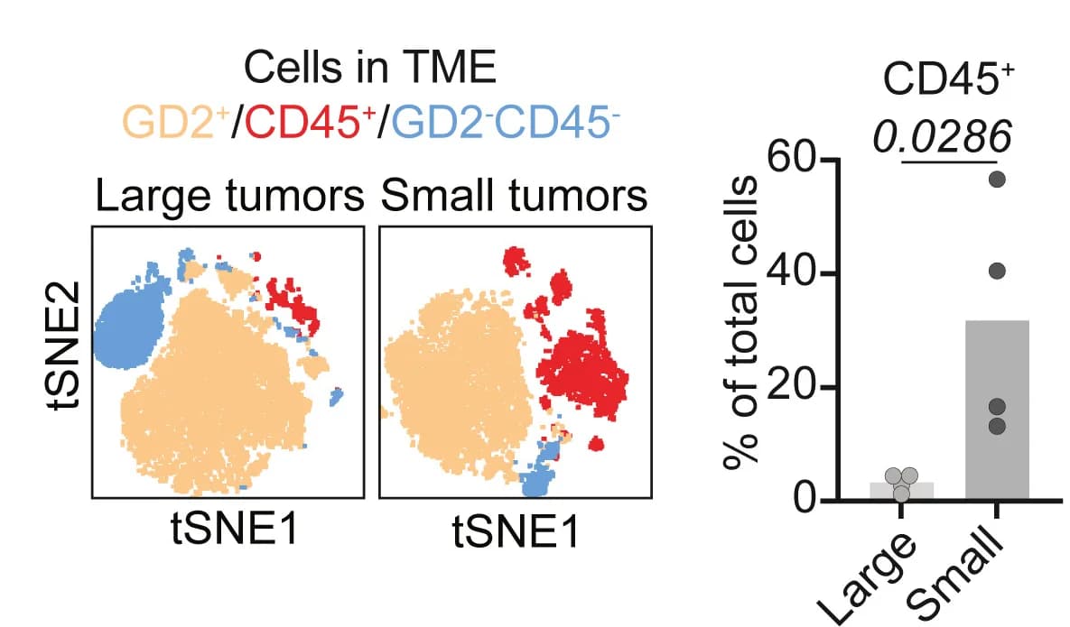 Open access visualization of UMAP, Bar Plot, Scatter Plot, TNSE Representation, TME