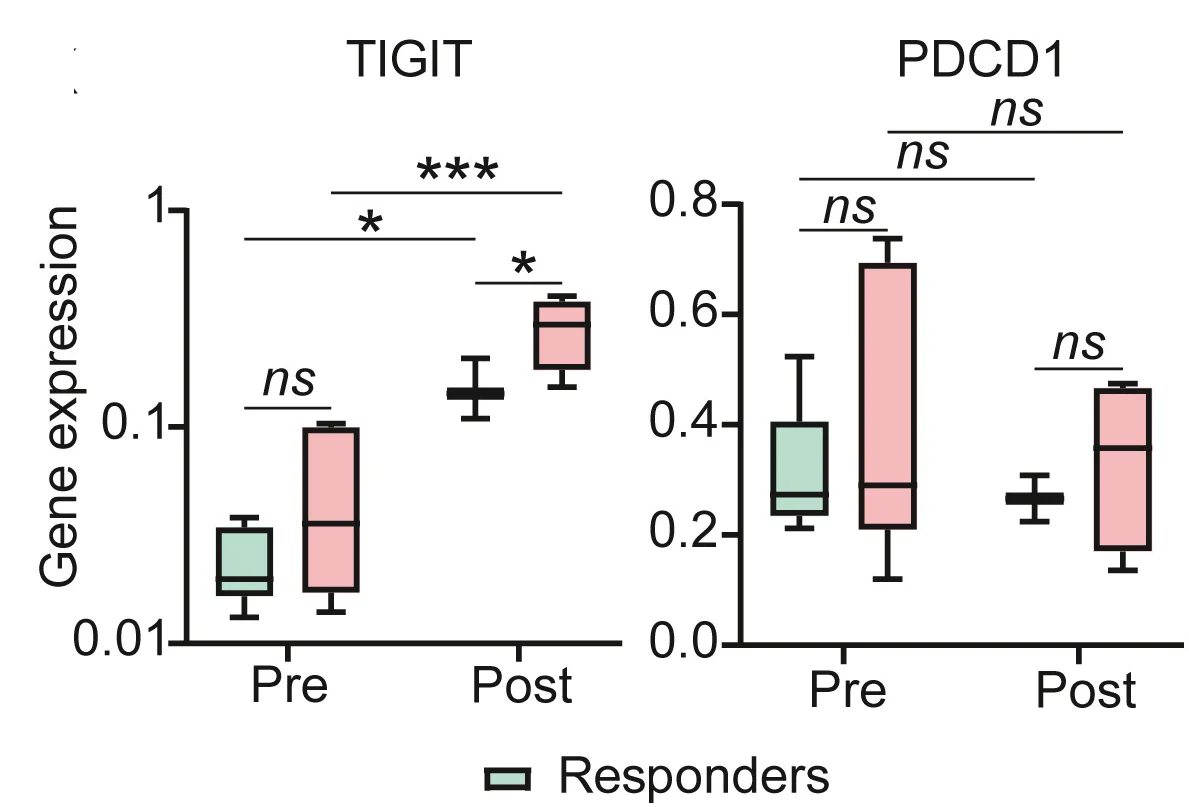 Open access visualization of Box Plot, Error Bars, TIGIT, PDCD1, Single-Cell RNA Sequencing