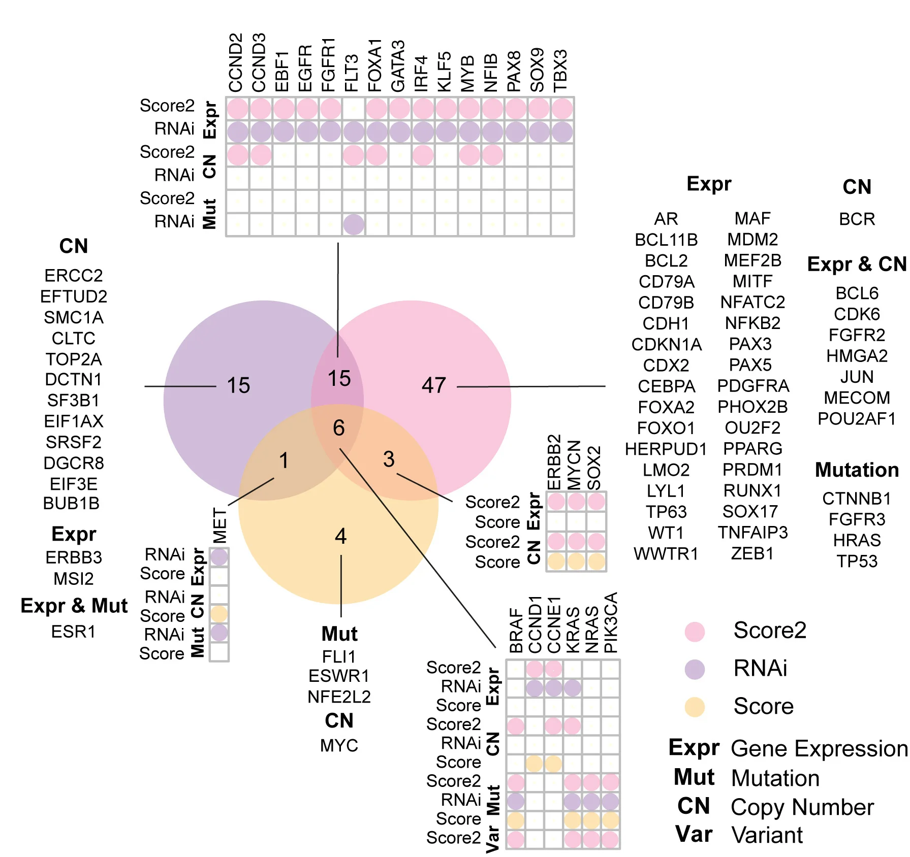 Open access visualization of Venn Diagram, Heatmap, Scatter Plot, Oncogene, Self-Addiction