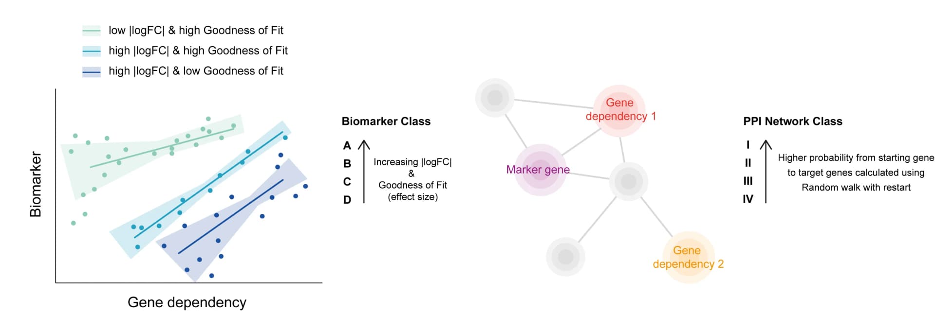 Open access visualization of Scatter Plot, Regression Plot, Network, Biomarker, Protein-Protein Interaction Network