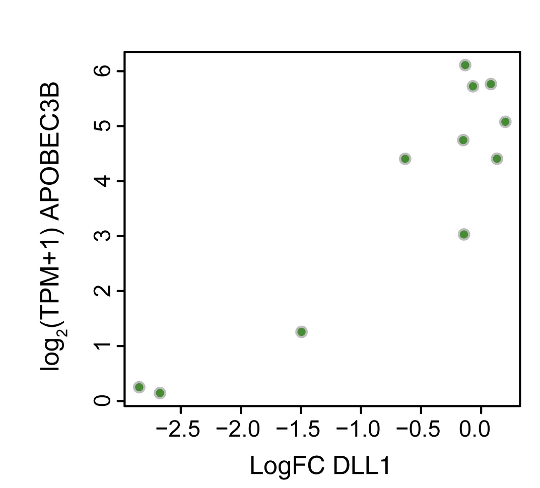 Open access visualization of Scatter Plot, DLL1, Rhabdomyosarcoma, Synthetic Lethal Association, APOBEC3B