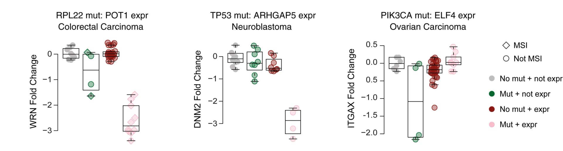 Open access visualization of Box Plot, Scatter Plot, Dual Markers, WRN, DNM2