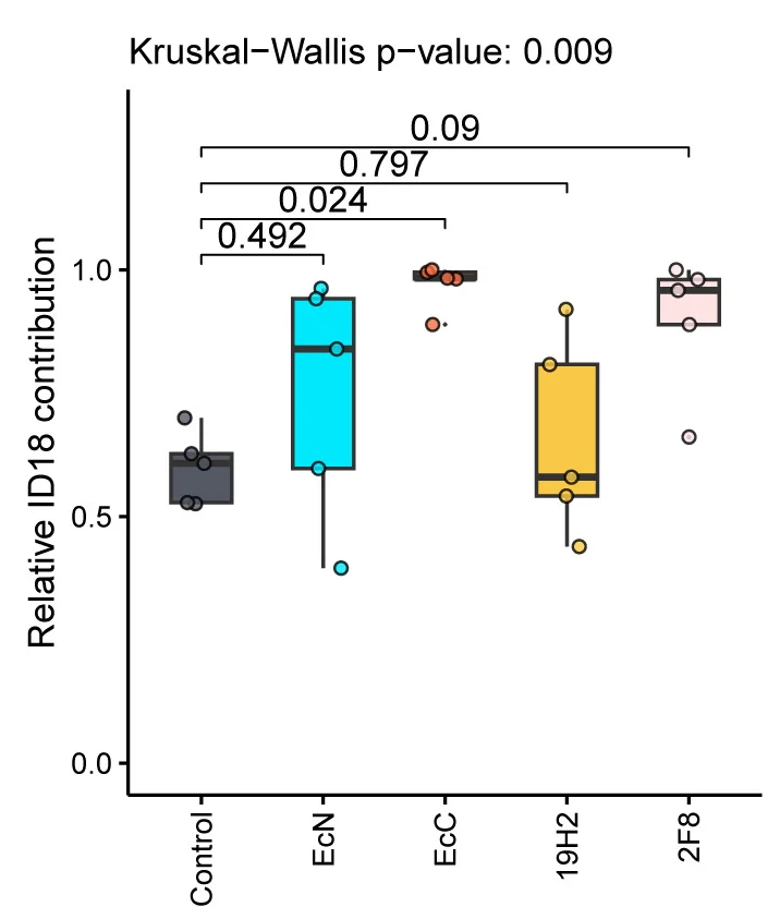 Open access visualization of Box Plot, Scatter Plot, ID18, Organoids, E. Coli Strains