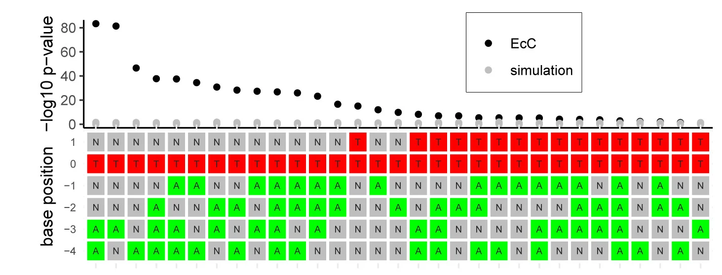 Open access visualization of Scatter Plot, Heatmap, P Value, Fishers Exact Test, Motifs