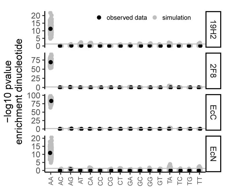 Open access visualization of Scatter Plot, P Value, Dinucleotide, Mutations, Control Organoids