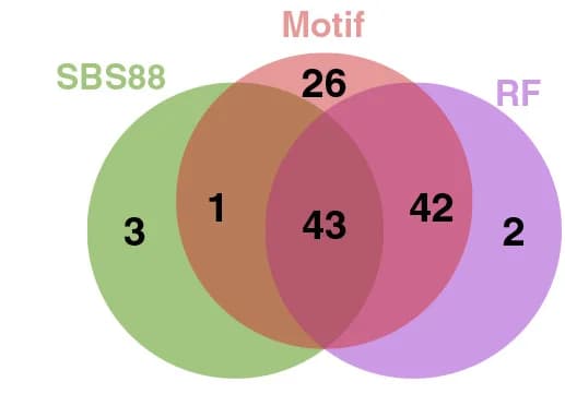 Open access visualization of Venn Diagram, Colibactin-positive Samples, Signature Refitting, Motif Counting, RF Model