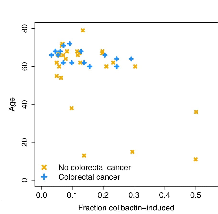 Open access visualization of Scatter Plot, Colibactin-Induced Mutations, RF Model, Screening Cohort, Age