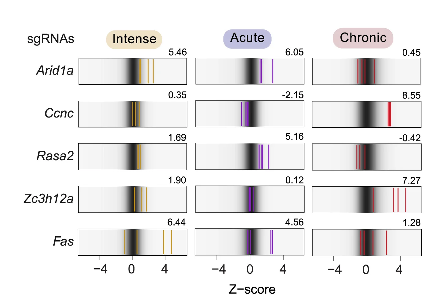 Open access visualization of Gel, sgRNAs, Gene Targeting, T Cell Screens, Enrichment