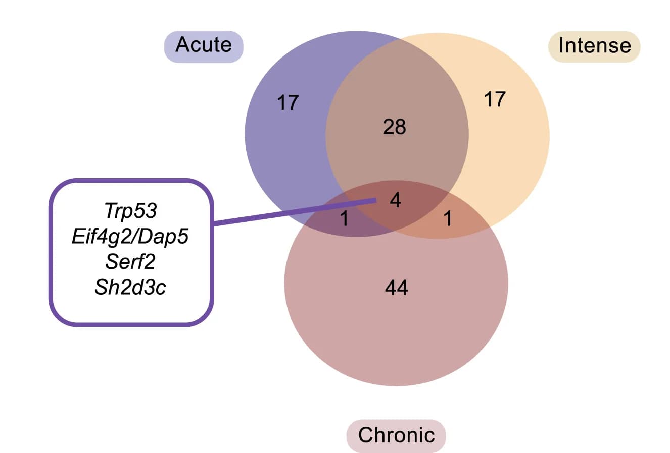 Open access visualization of Venn Diagram, Overlapping Genes, Screen Hits, Effect Size