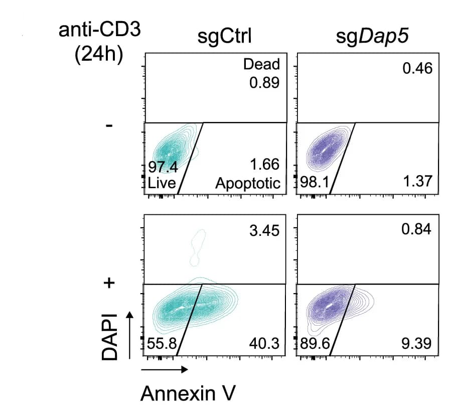 Open access visualization of Scatter Plot, Flow Cytometry, Apoptotic T Cells, Biological Replicates