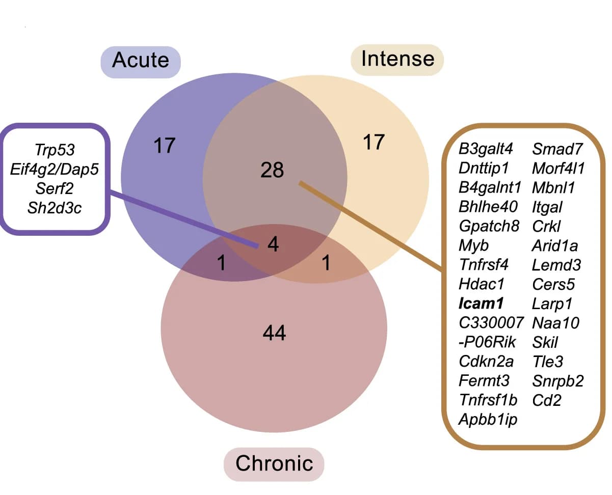 Open access visualization of Venn Diagram, Genes, Screening