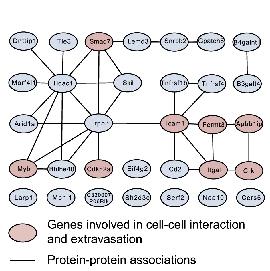 Open access visualization of Network, Pathway, Protein-protein interaction, Targets, Genes