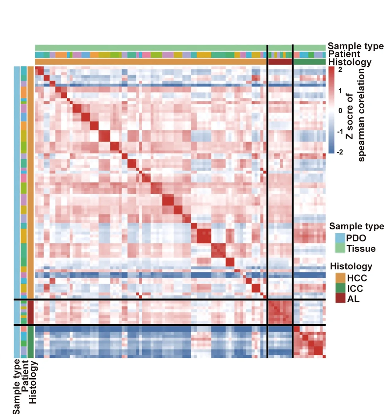 Open access visualization of Heatmap, Clustered, Bar Plot, Tumor Tissue, Organoids