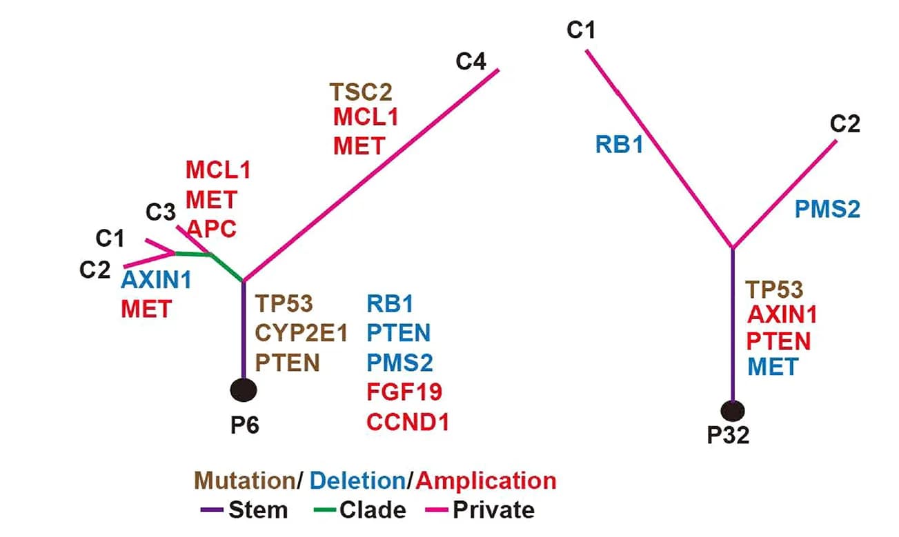 Open access visualization of Network, Pathway, Phylogenetic Trees, Driver Events