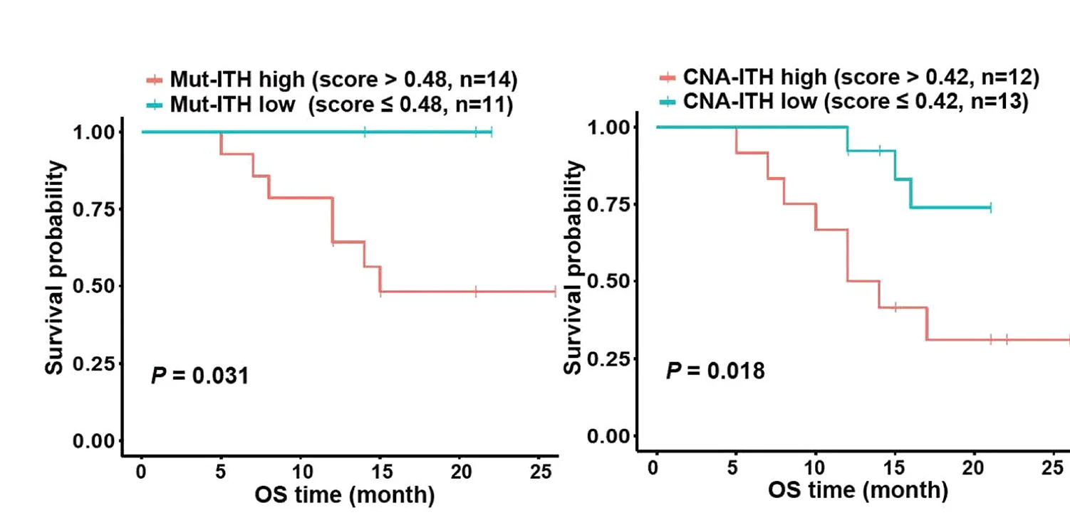 Open access visualization of Survival Curve, Line Step, Kaplan-Meier Survival Curves, Mutation-ITH, CNA-ITH