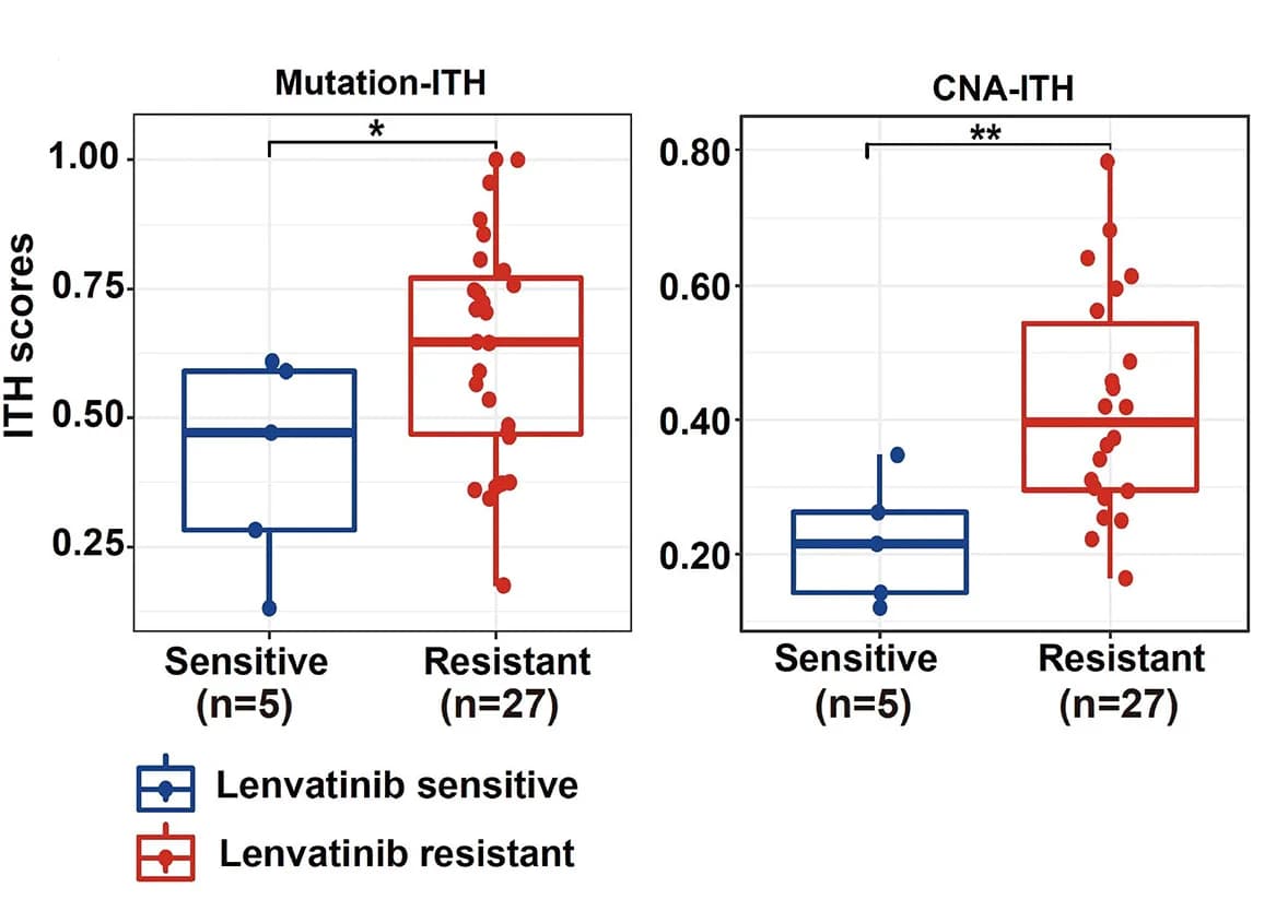 Open access visualization of Box Plot, Scatter Plot, Genomic ITH, Mutation-ITH, CNA-ITH