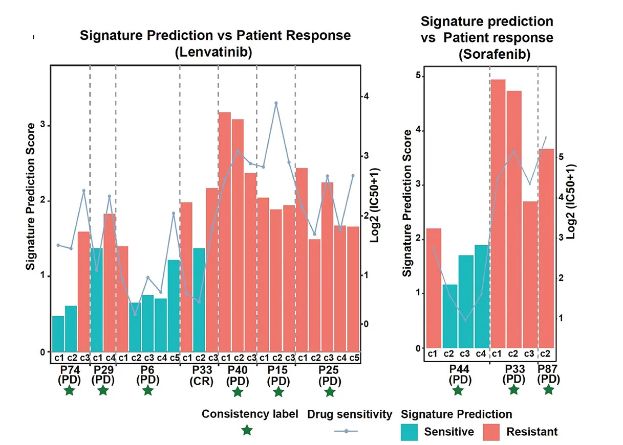 Open access visualization of Bar Plot, Line Plot, Bar Graphs, Lenvatinib, Sorafenib
