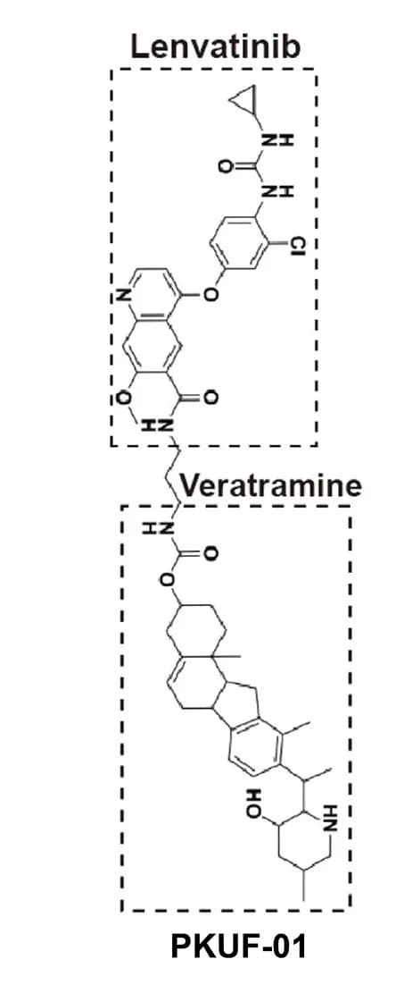 Open access visualization of Chemical Structure, PKUF-01, Lenvatinib, Veratramine, Chemical Formula