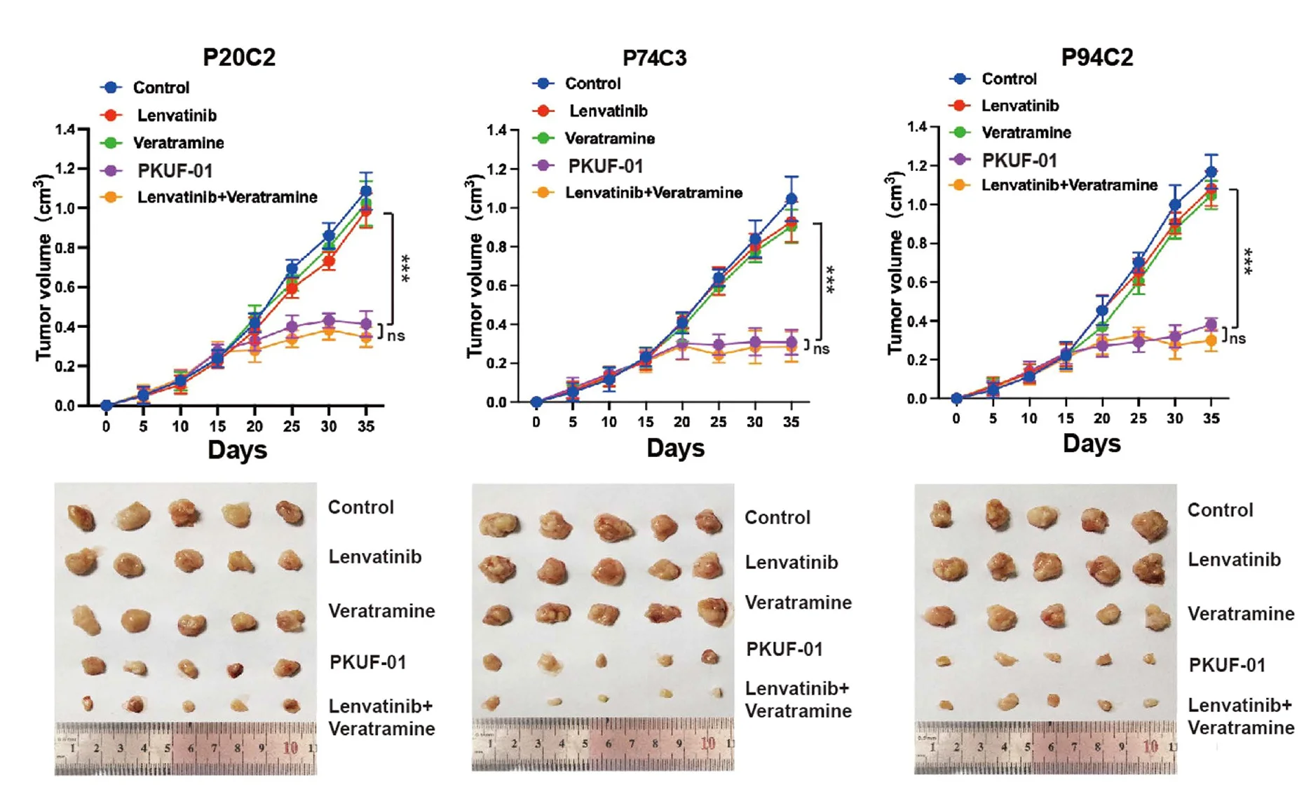 Open access visualization of Line Plot, Error Bars, Photo, Tumor Growth Curve, Organoid-Derived Xenografts