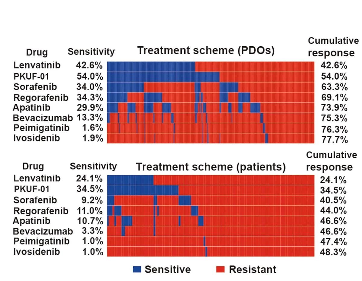 Open access visualization of Stacked Bar Plot, Drug Sensitivity, Targeted Drugs, PKUF-01, Organoid Biobank