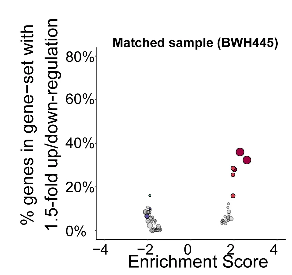 Open access visualization of Bubble Plot, Scatter Plot, GSEA, IDHi Treatment, Gene Set