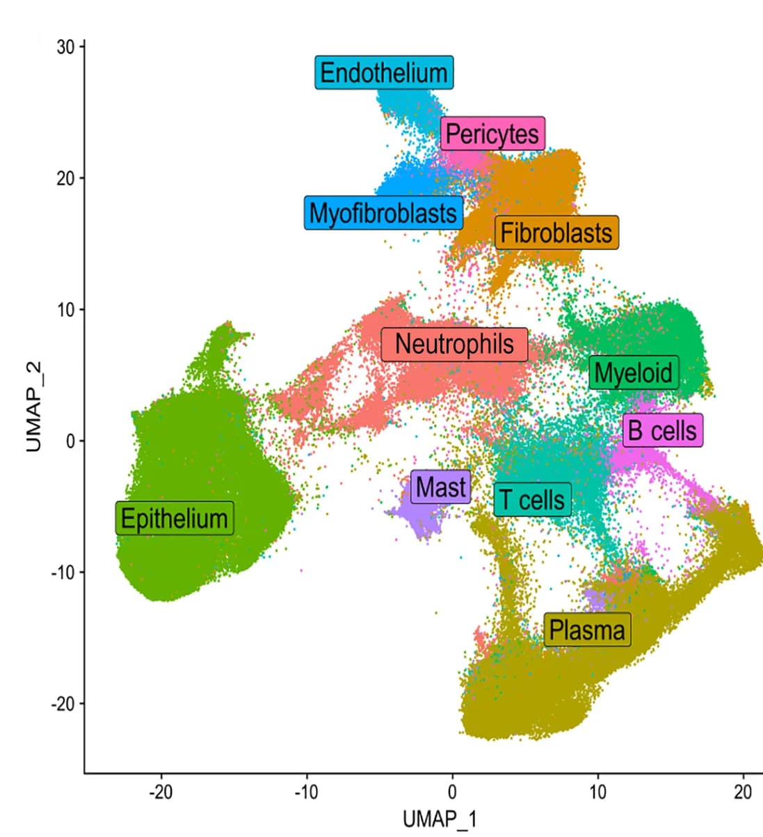 Open access visualization of UMAP, UMAP Embedding, Segmented Cells, Transcriptome Clusters, Sub-cellular Resolution