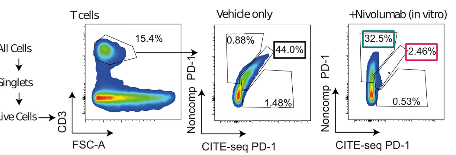 Open access visualization of Scatter Plot, Workflow, FACS, T Cells, Nivolumab