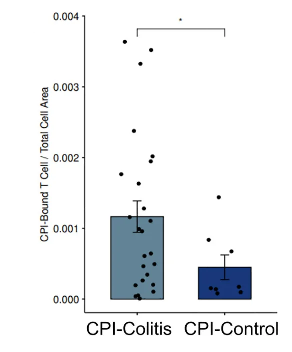 Open access visualization of Bar Plot, Error Bars, Scatter Plot, CPI-Bound T Cells, Immunofluorescence