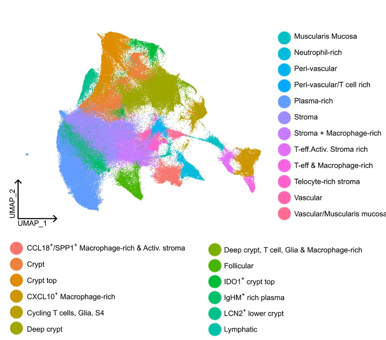Open access visualization of UMAP, UMAP Embedding, Spatial Niches, Cell Neighborhood Composition, Single Cells