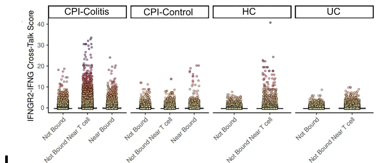 Open access visualization of Scatter Plot, Box Plot, Interferon Gamma, Signaling Score, CPI-Bound T Cells
