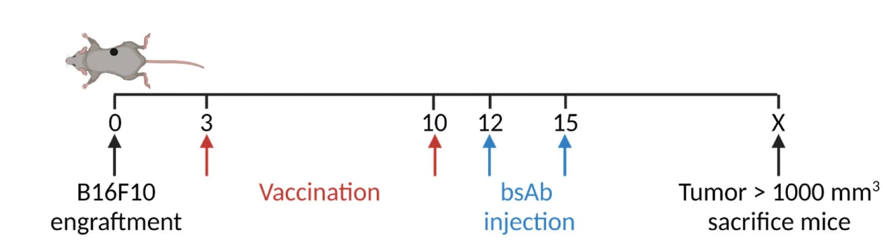 Open access visualization of Workflow, Illustration, Treatment Schedule