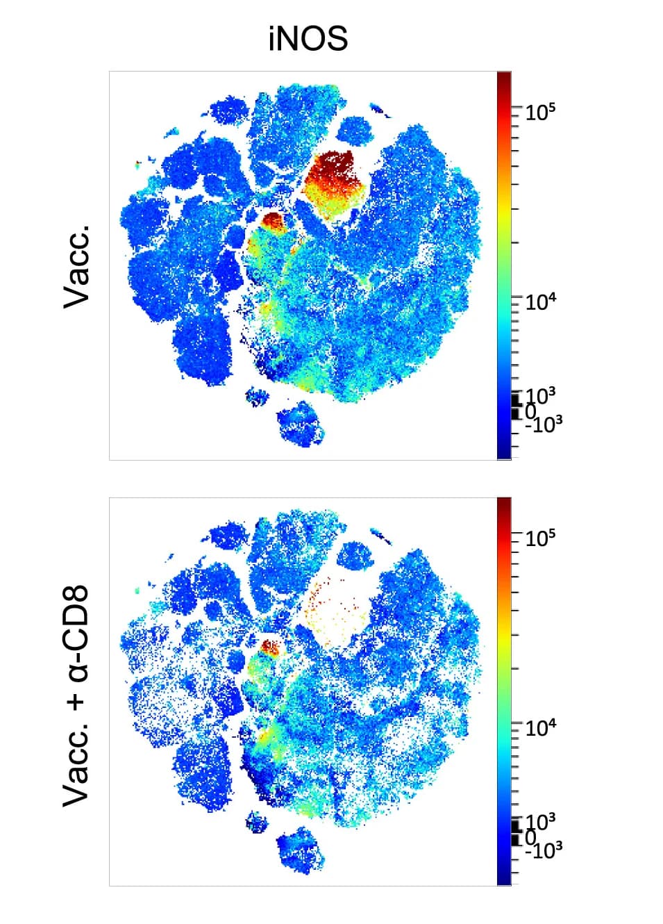 Open access visualization of Scatter Plot, UMAP, iNOS, Mean Fluorescence Intensity, CD11b+ Cells