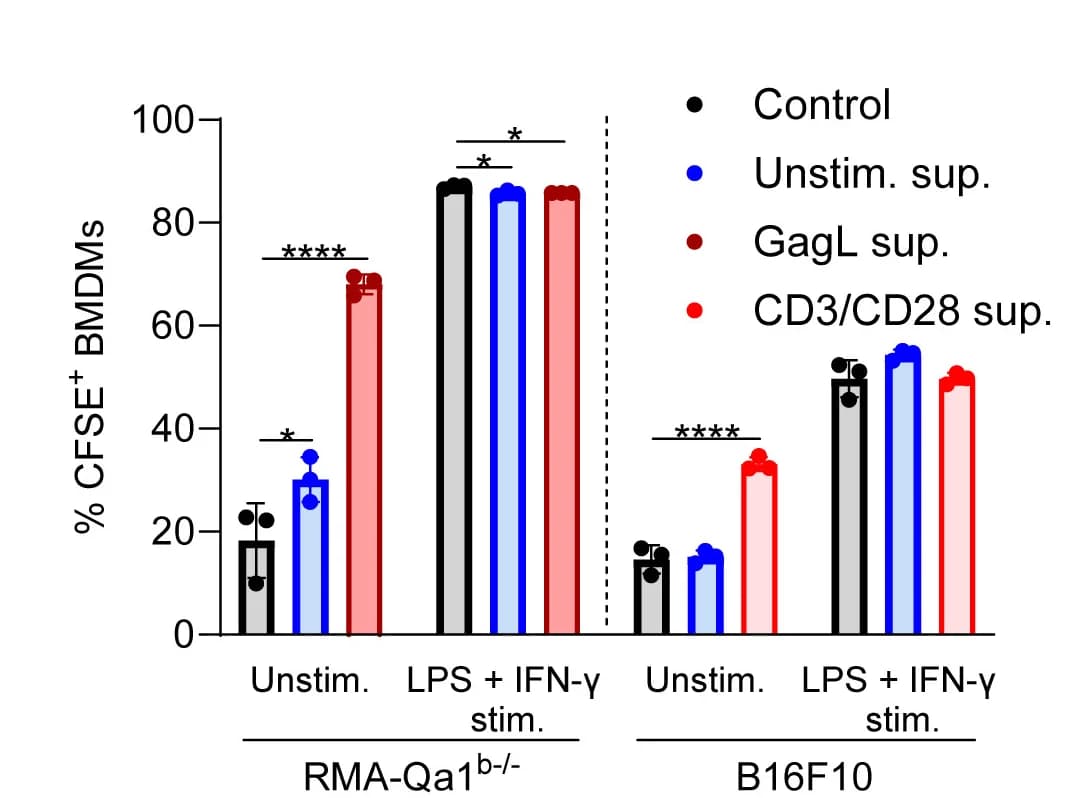 Open access visualization of Bar Plot, Error Bars, Clustered, Phagocytosis, IgG-Opsonized Irradiated Tumor Cells