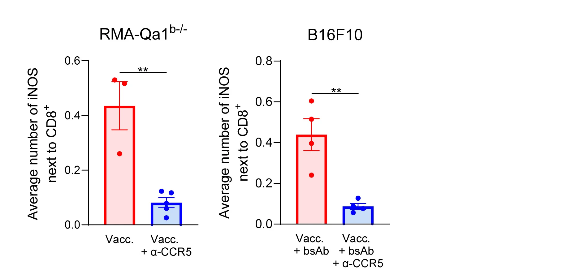 Open access visualization of Bar Plot, Error Bars, Scatter Plot, Colocalization Analysis, iNOS