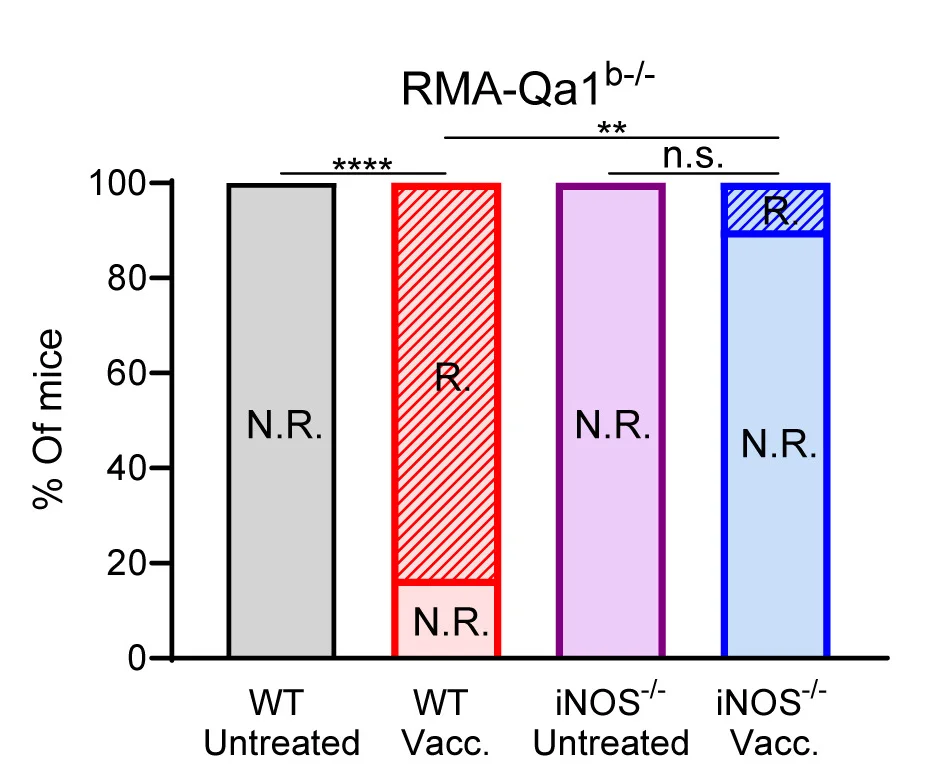 Open access visualization of Bar Plot, Stacked Bar Plot, Treatment Responses, Mice, Tumors