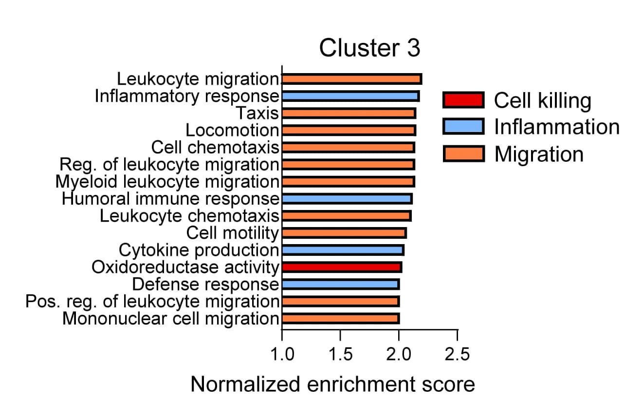 Open access visualization of Bar Plot, GSEA, DEGs, Macrophage Cluster, Gene Ontology