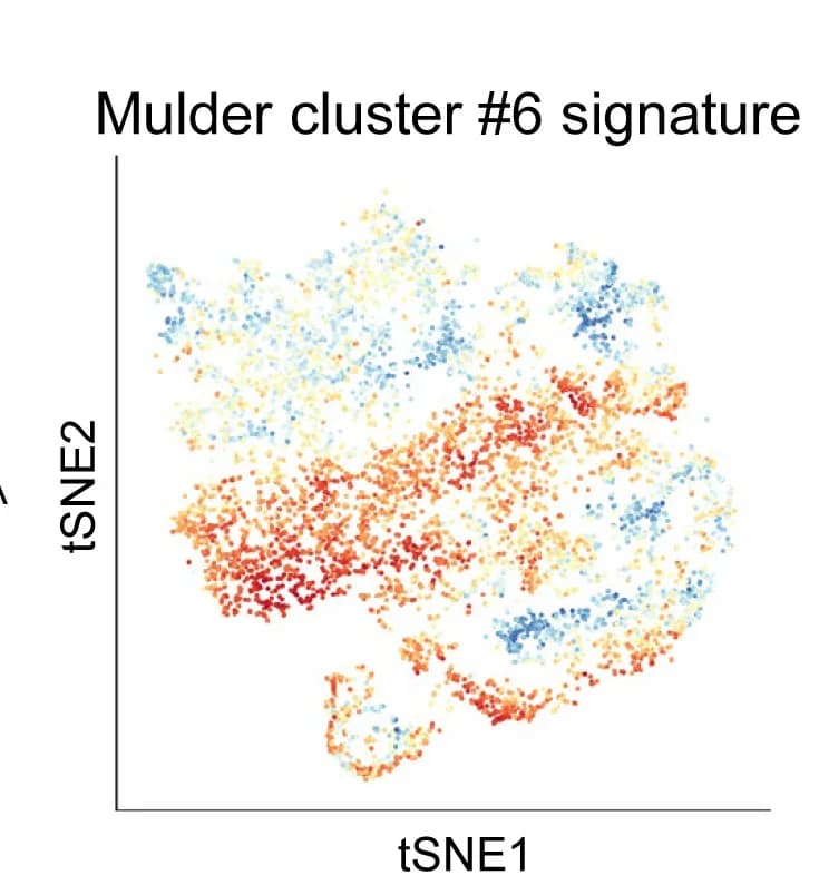 Open access visualization of Scatter Plot, UMAP, PCA, Macrophage Cluster, Human Breast Cancer