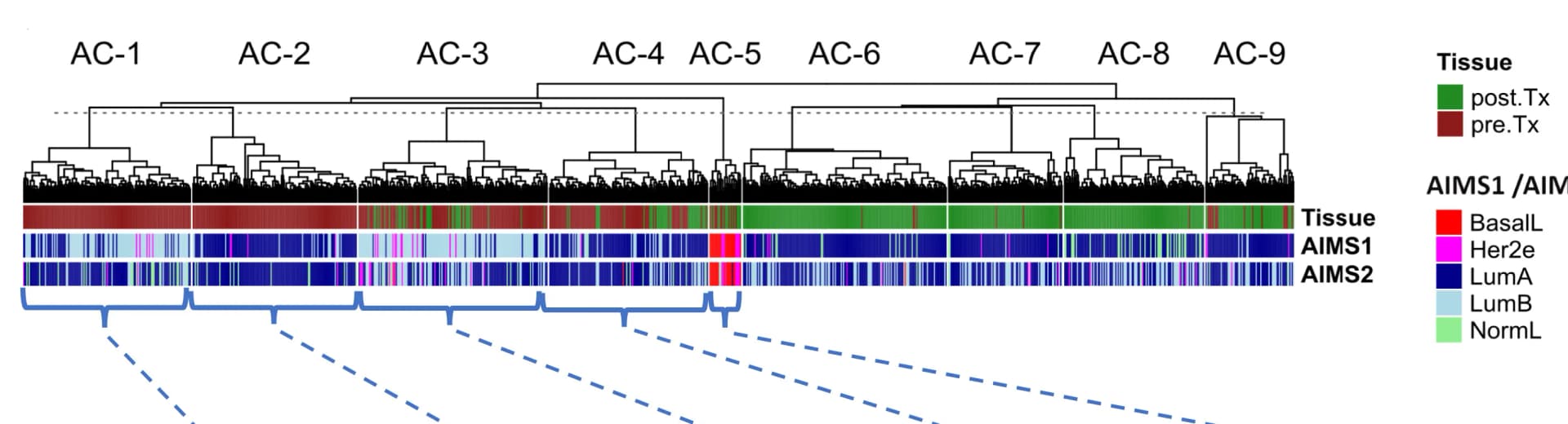 Open access visualization of Heatmap, Clustered, AIMS Subtypes, Tumors, Primary Sample