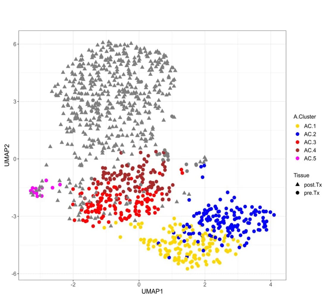 Open access visualization of Scatter Plot, UMAP, AC-Subtypes, Prognosis, AC-1 Subtype