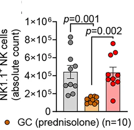 Open access visualization of Bar Plot, Error Bars, Scatter Plot, Cell Counts, Spleen