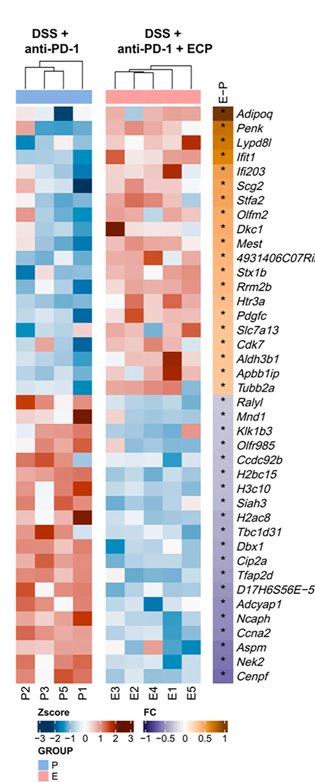 Open access visualization of Heatmap, Clustered, Microarray, Gene Expression, Colon