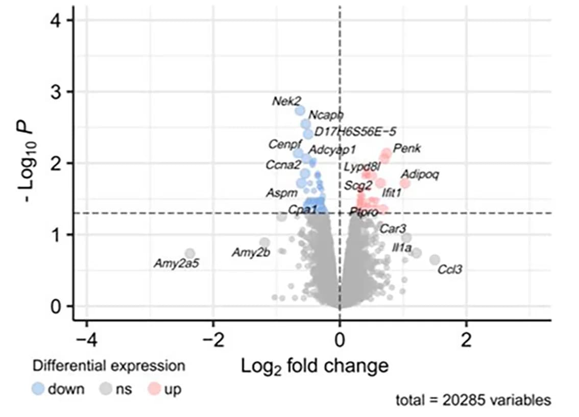 Open access visualization of Scatter Plot, Volcano Plot, Gene Expression, Colon, Mice