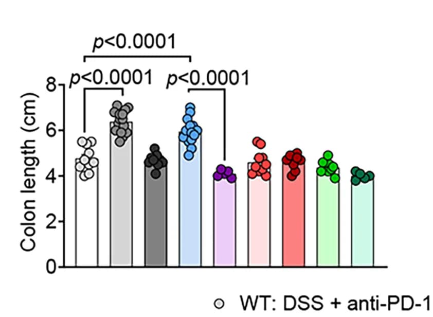Open access visualization of Bar Plot, Scatter Plot, Colon Length, Mice