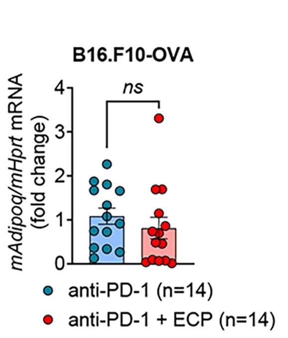 Open access visualization of Bar Plot, Error Bars, Scatter Plot, Adipoq Expression, Arg1 Expression