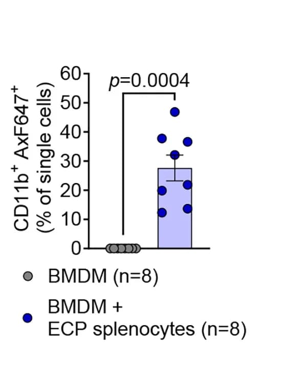 Open access visualization of Bar Plot, Error Bars, Scatter Plot, Macrophages, Phagocytosis