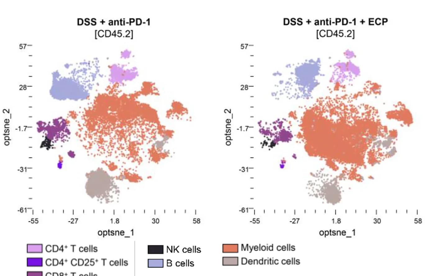 Open access visualization of Scatter Plot, UMAP, Opt-SNE, Immune Cells, Colon Lamina Propria