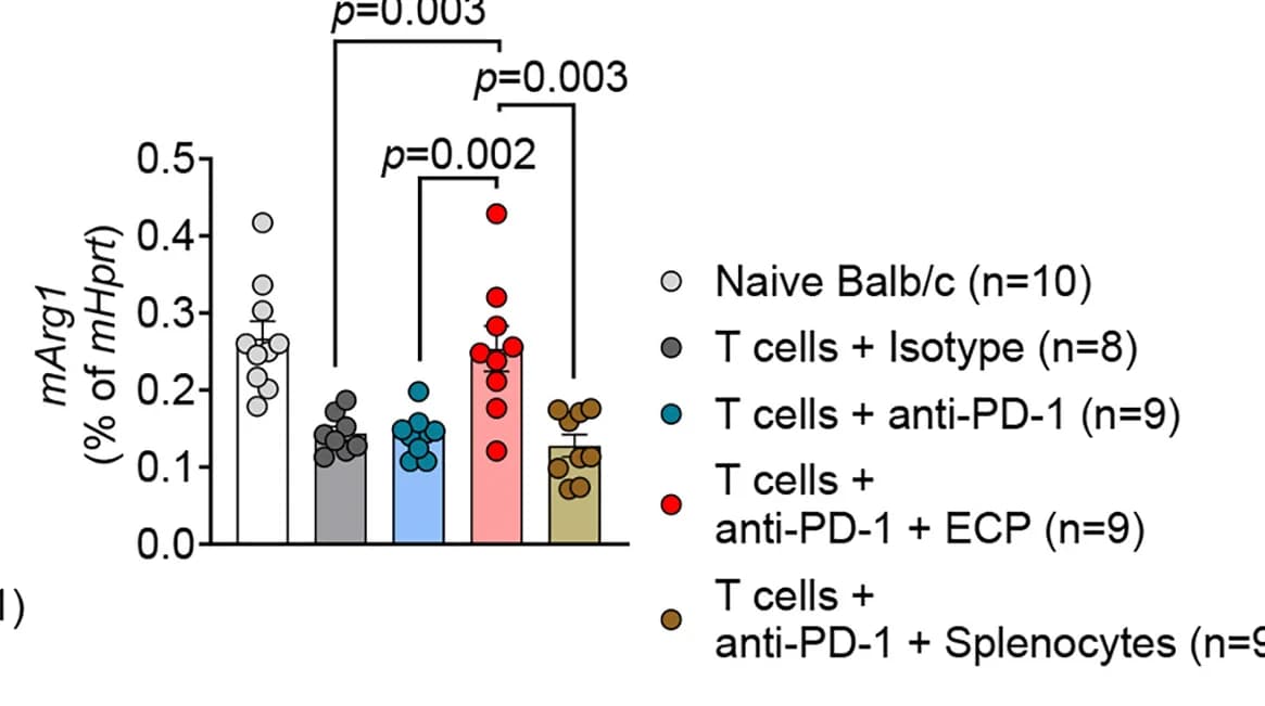 Open access visualization of Bar Plot, Scatter Plot, Error Bars, Arg1, Colon