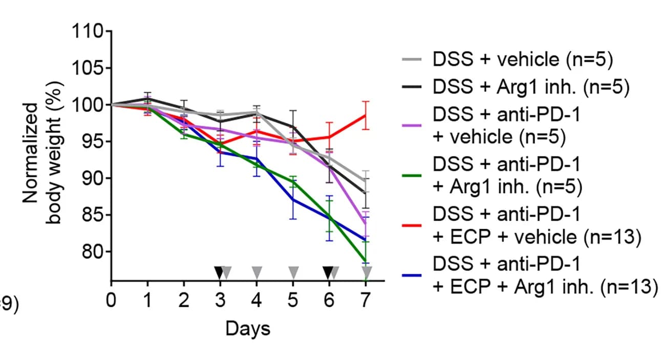 Open access visualization of Line Plot, Error Bars, Bodyweight, DSS-Colitis, Mice