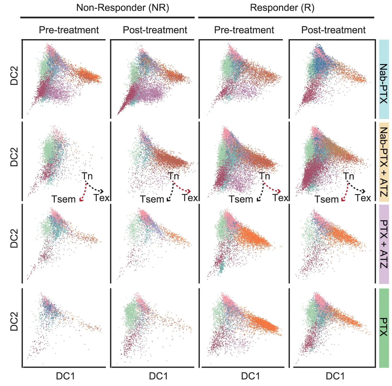 Open access visualization of Scatter Plot, CD8+ T Cell, Differentiation, Trajectory, Tumor
